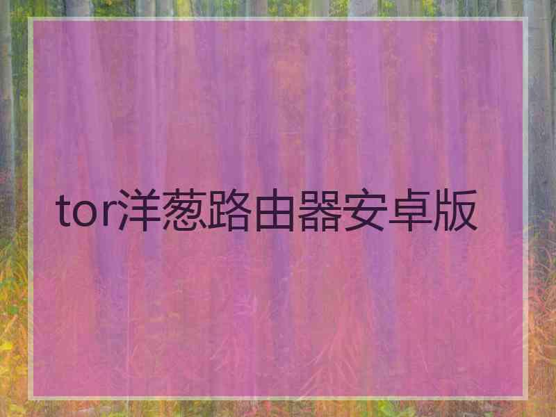 tor洋葱路由器安卓版