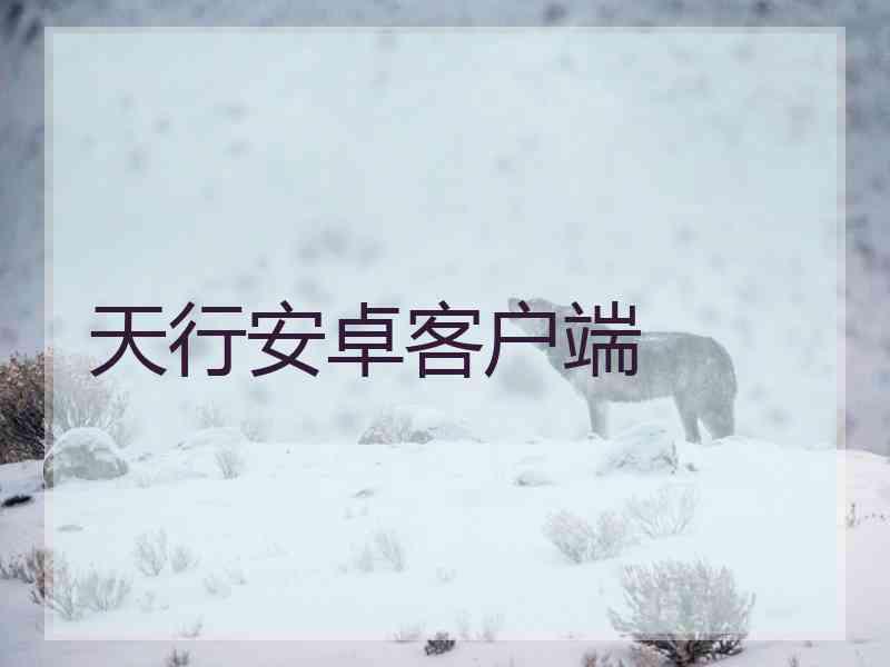 天行安卓客户端