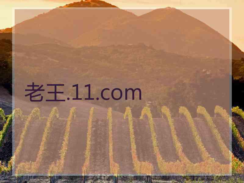 老王.11.com