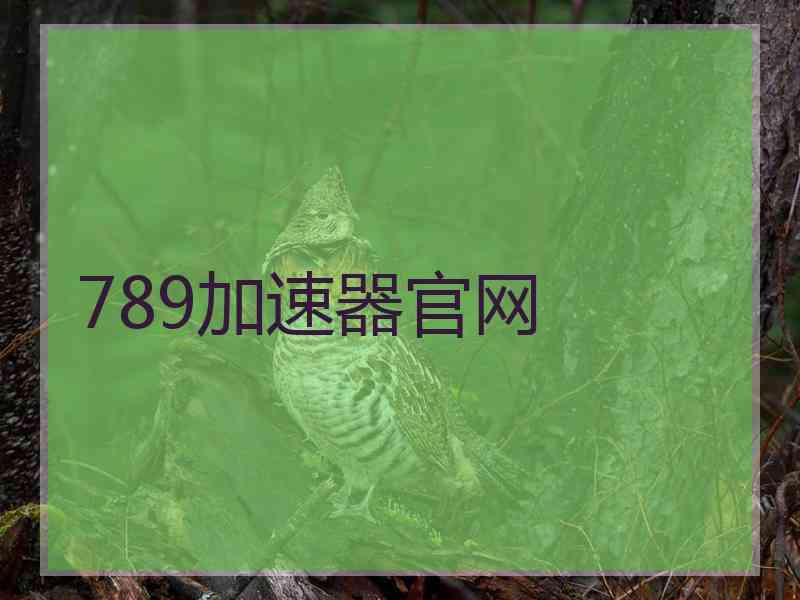 789加速器官网