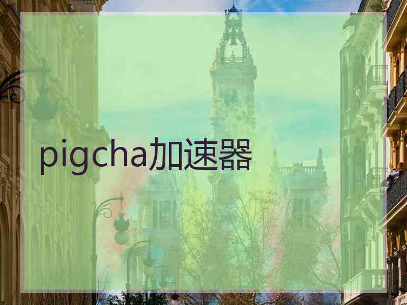 pigcha加速器